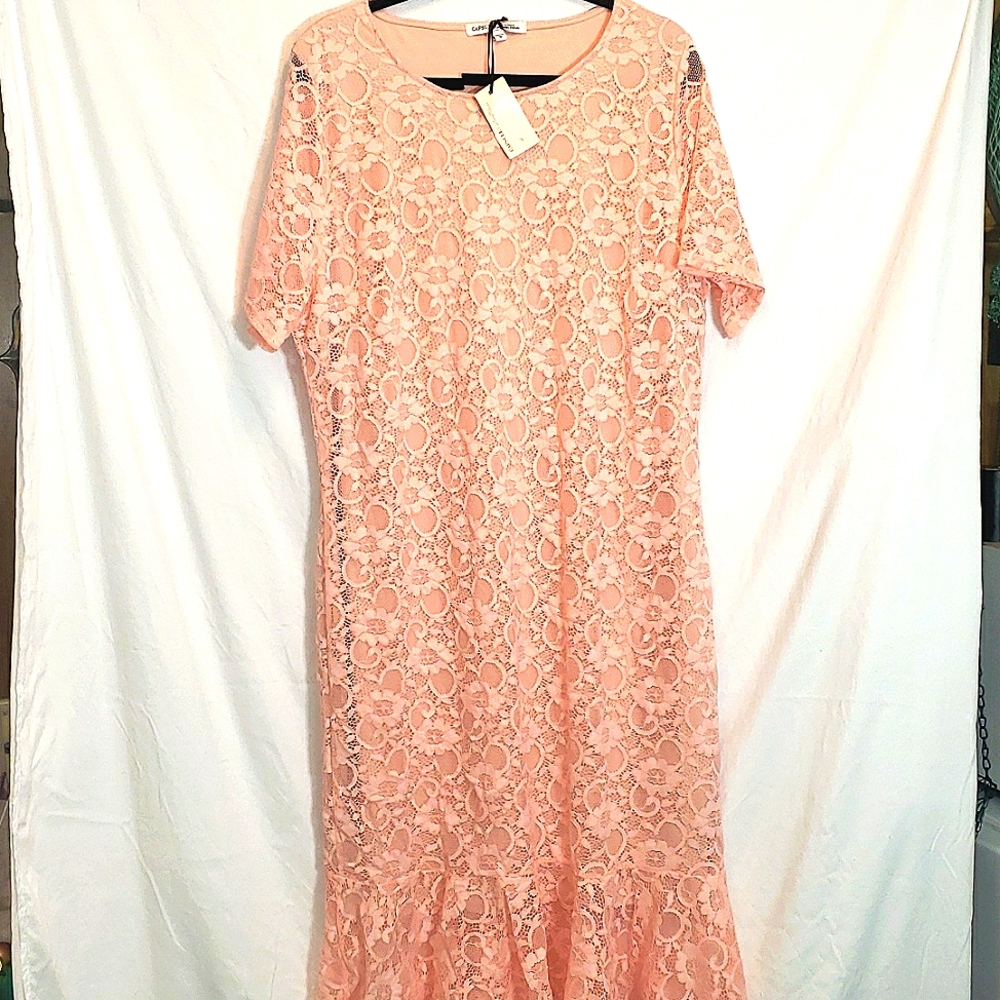 NWT CAPSULE Women's Floral Lace Sheath Dress Short Sleeve, Mini Dress